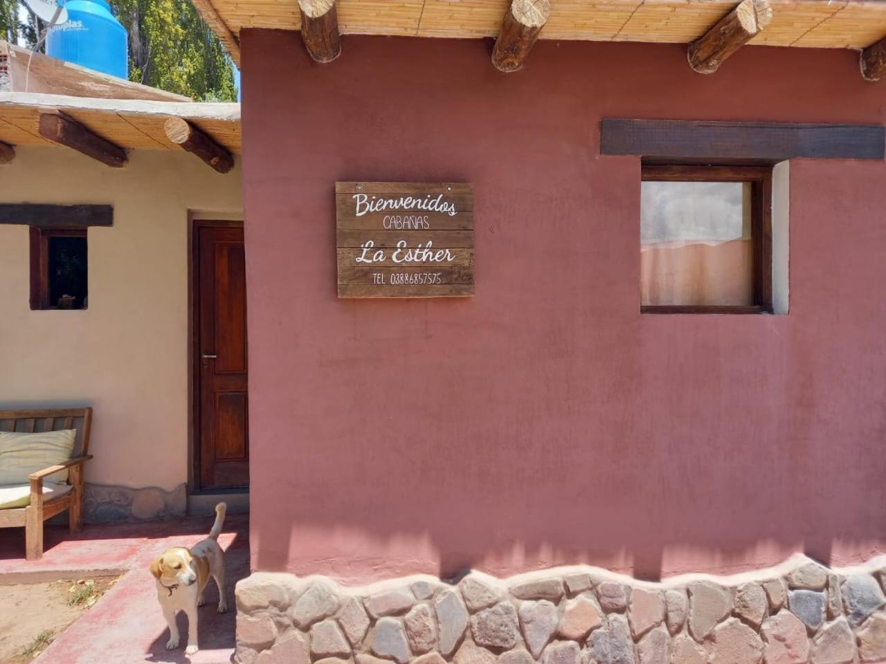 Cabanas La Esther ตีลการา ภายนอก รูปภาพ
